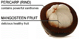 Natural Home Cures Freeze Dried Rich Pericarp Mangosteen's Xanthones